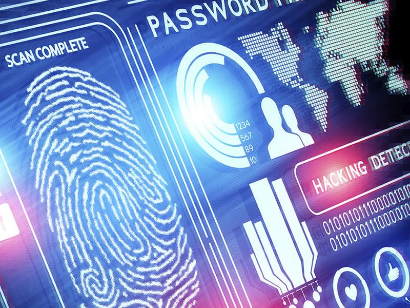 Undergraduate modules include cyberlives